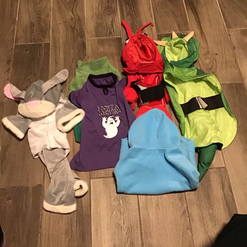 Assorted Dog Costumes and Hoodies - Green, Red, Purple, Blue, Gray